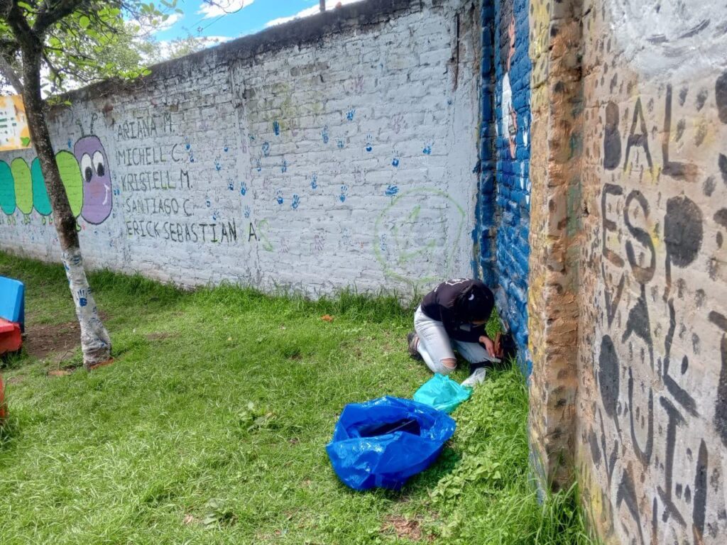 Exterminador de hormigas en Quito